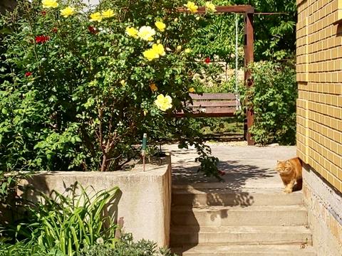 будинок за адресою Кленова вул.