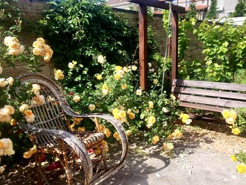 будинок за адресою Кленова вул.