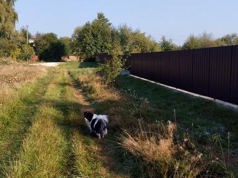 ділянка за адресою 