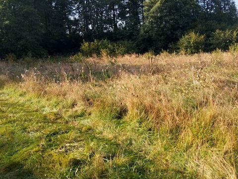 участок по адресу 