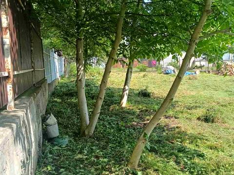 ділянка за адресою 