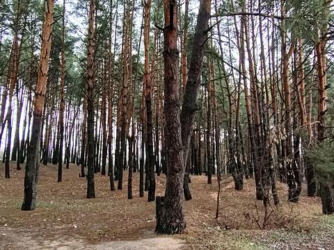 ділянка за адресою Васильківська вул. (Ватутіна)