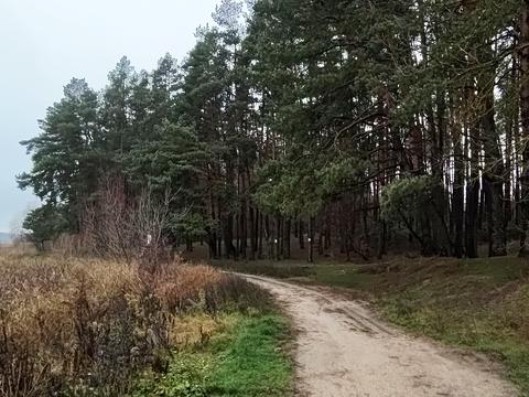 ділянка за адресою Васильківська вул. (Ватутіна)