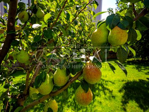 дом по адресу Шевченко ул.