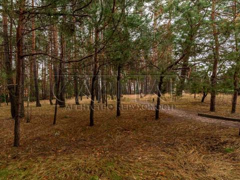 будинок за адресою Центральна