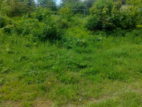 ділянка за адресою Лисогірська