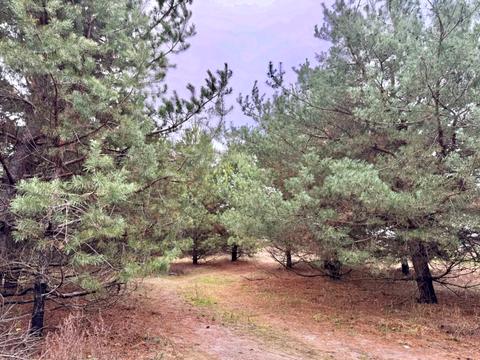 участок по адресу 