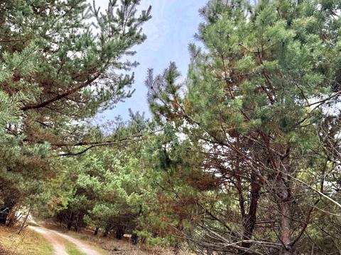 участок по адресу 