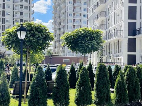 квартира за адресою Михайла Максимовича вул. (Онуфрія Трутенка), 24-А