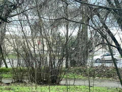 квартира по адресу Тбилисская ул., 31