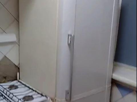 квартира за адресою Салтівське шосе, 141в