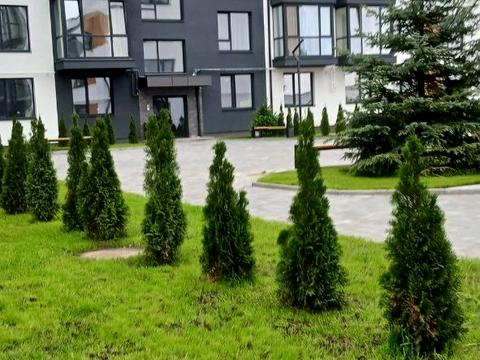 квартира по адресу Чарівний