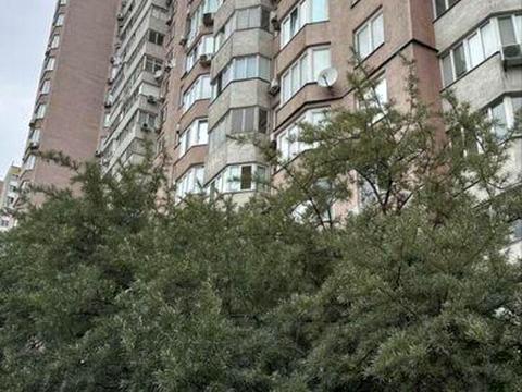 квартира за адресою Олени Пчілки вул., 2-А