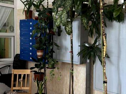 квартира за адресою Олени Пчілки вул., 2-А