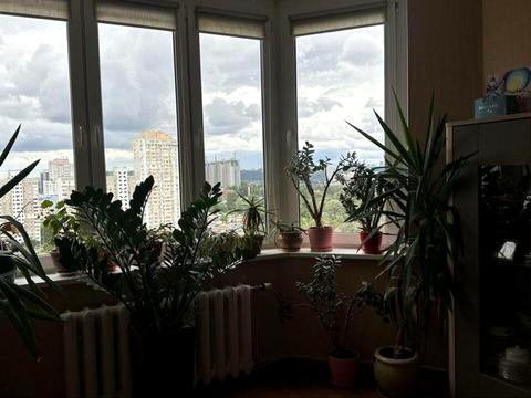 квартира за адресою Олени Пчілки вул., 2-А