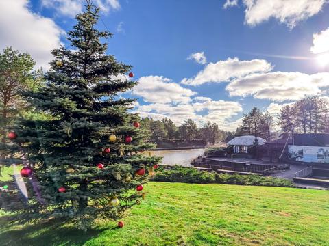 будинок за адресою с. Лебедівка, Центральна