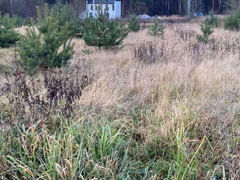 ділянка за адресою Ряснянська вул.