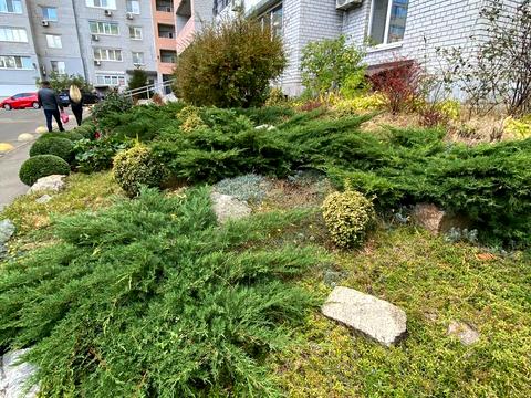 квартира за адресою Братів Горобців вул. (Дмитра Кедріна), 53-А