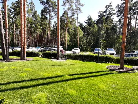 комерційна за адресою Прорізна вул., 13