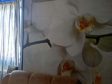 квартира за адресою Одеса, Владислава Бувалкіна вул. (Бочарова Генерала), 44