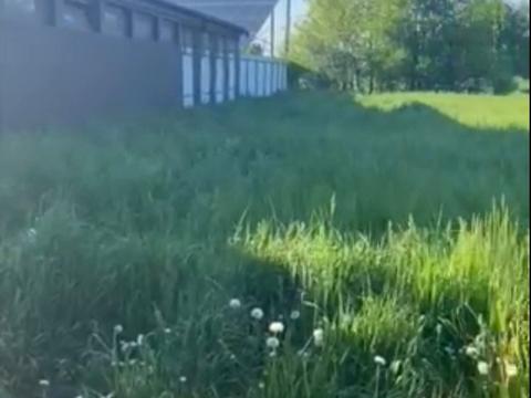 ділянка за адресою Заводська