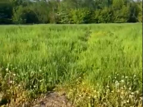 ділянка за адресою Заводська