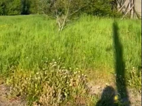 ділянка за адресою Заводська