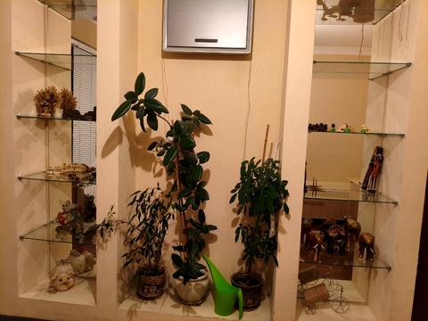 квартира за адресою Драгоманова вул., 1-Б