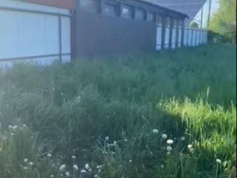 ділянка за адресою Заводська