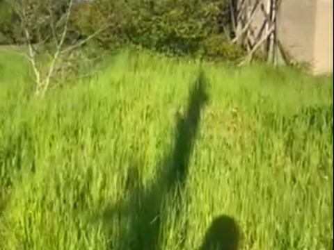 ділянка за адресою Заводська