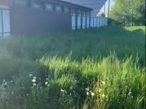 ділянка за адресою Заводська