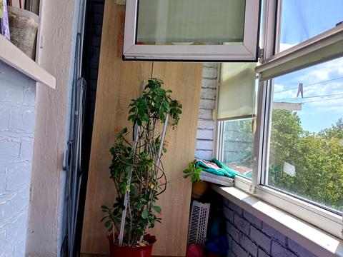 квартира по адресу Мира просп. (Леніна), 12