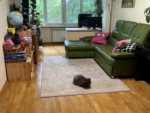 квартира за адресою Зодчих вул., 34