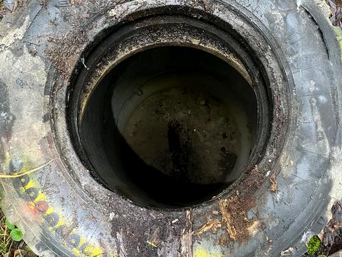 ділянка за адресою Чернігівська, 7