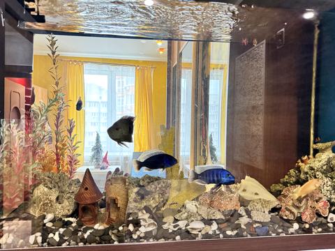 квартира за адресою Київ, Юлії Здановської вул. (Ломоносова), 60-А