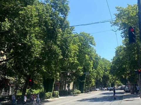 коммерческая по адресу Шевченко просп., 17