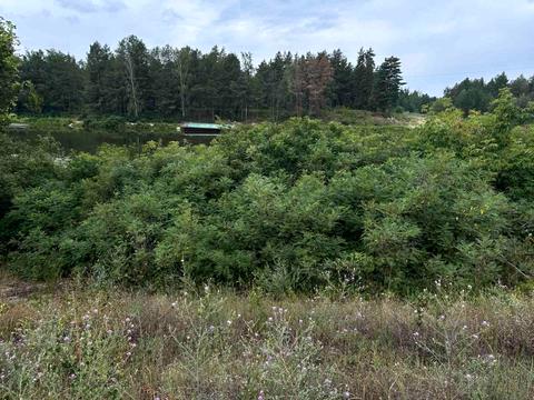 ділянка за адресою Петра Сагайдачного