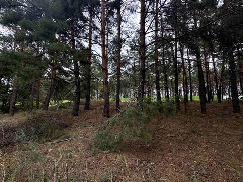 ділянка за адресою Петра Сагайдачного