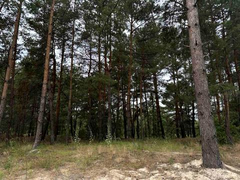 ділянка за адресою Петра Сагайдачного