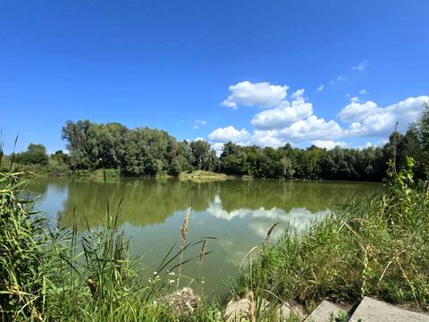 квартира за адресою Ялтинська вул., 22