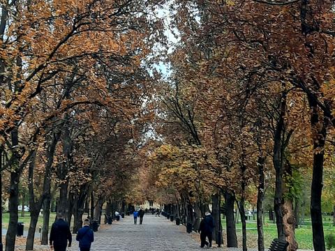 будинок за адресою Маріупольська вул.