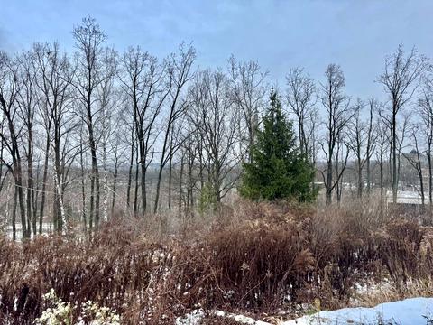 участок по адресу 