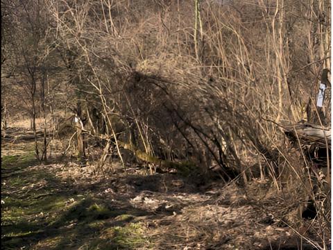 ділянка за адресою Львів, Замарстинівська вул. (Калініна), 270-А