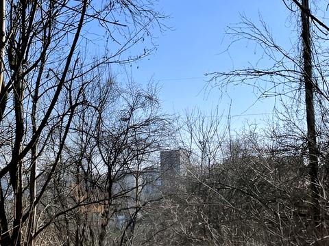 ділянка за адресою Львів, Замарстинівська вул. (Калініна), 270-А