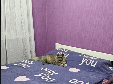 квартира за адресою Дніпро, Богдана Хмельницького просп. (Героїв Сталінграда), 10-Г