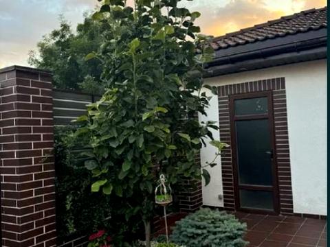 будинок за адресою Рейдовый пер.