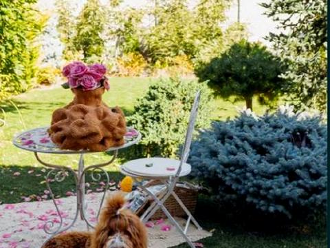 будинок за адресою Рейдовый пер.