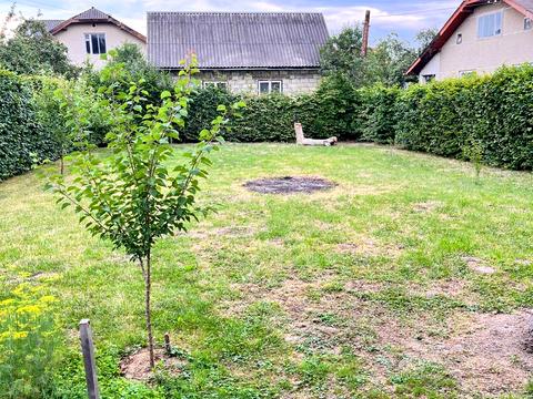 дом по адресу Светлая ул.