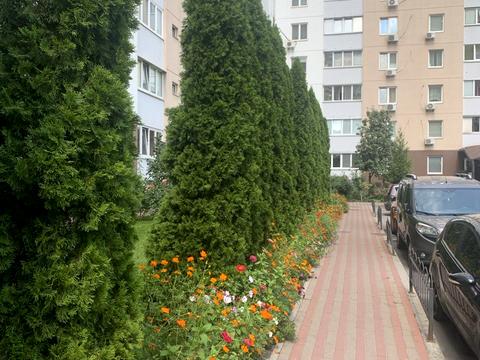 квартира по адресу Урловская ул., 38