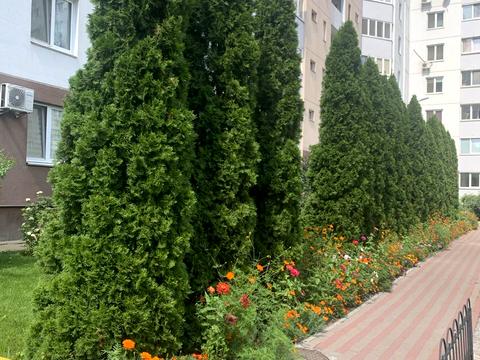 квартира по адресу Урловская ул., 38